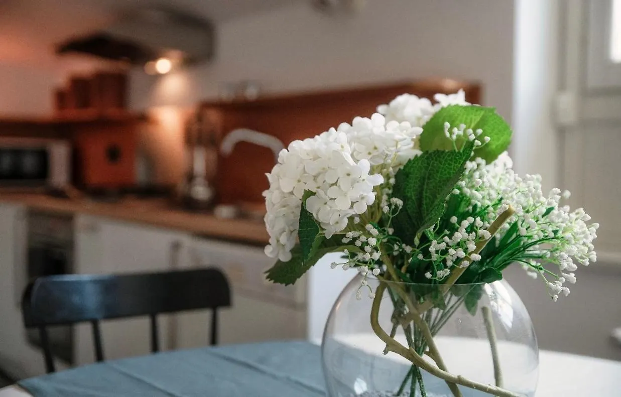 I D'A Charming Penthouse - Lake View- Como- House-130 Mt-2 Double Bedrooms And 2 Double Bathrooms A Spacious Living Room-Full Equipped Kitchen-Private Garden And Terrace-Private Covered Parking Italie